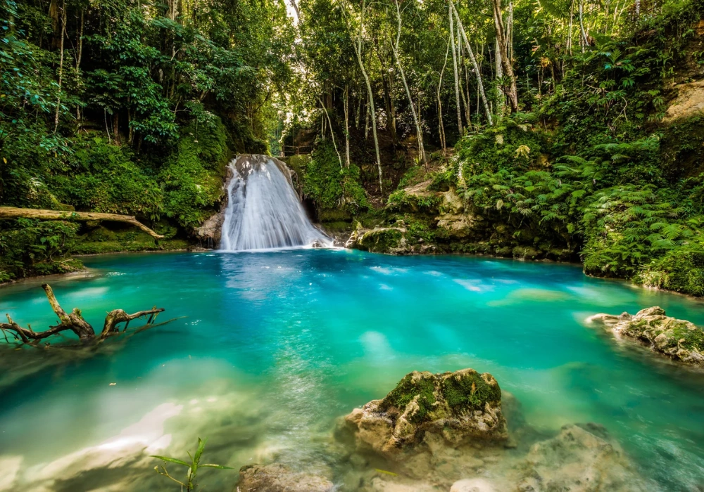 Horseback Riding, ATV & Bamboo Rafting or Blue Hole - Ocho Rios