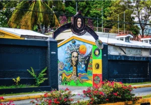Bob Marley Museum - kingston (Transfer only)