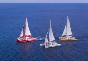 Booze Cruise Tour - Montego Bay