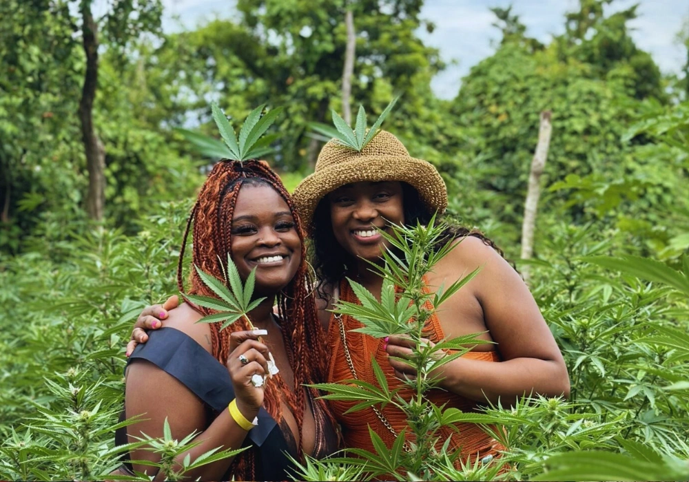 Weed Farm Tour Montego Bay