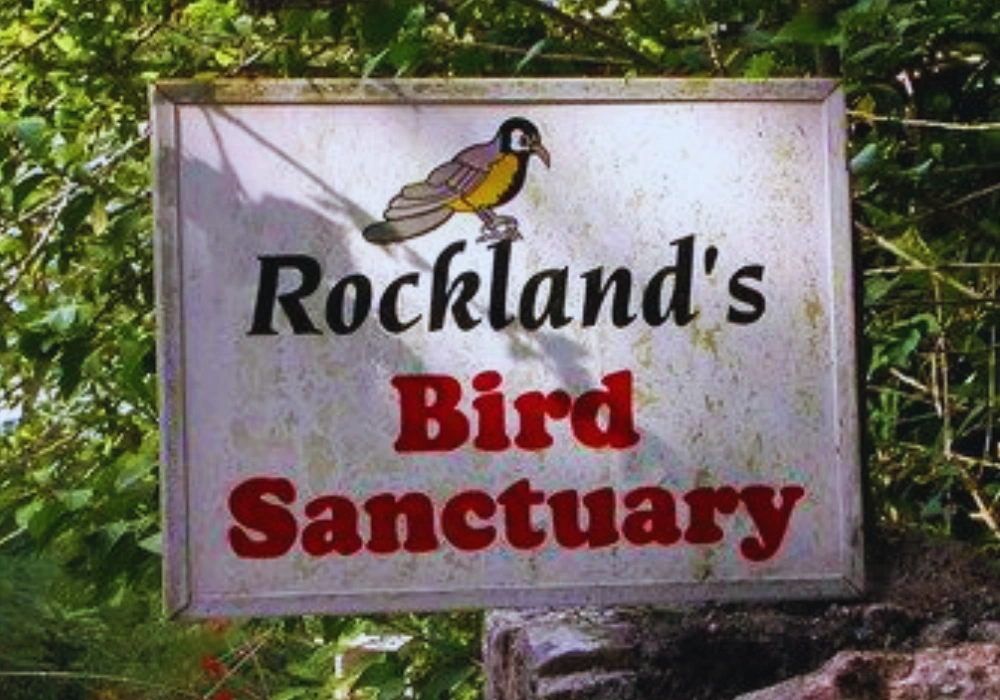 Bird Sanctuary - Montego Bay